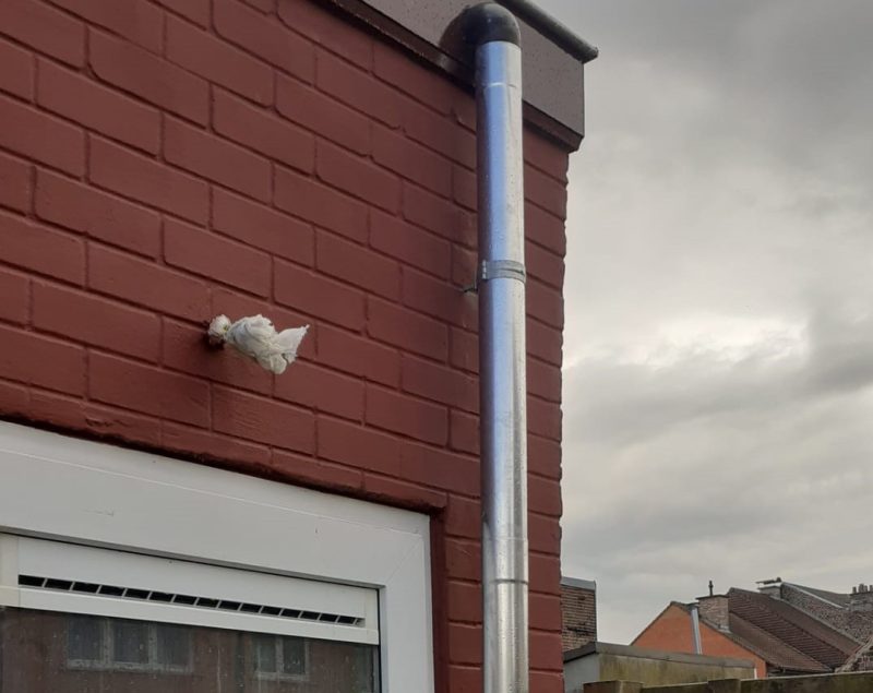 Chantier bird consult liedekerke meersstraat toiture plate 15