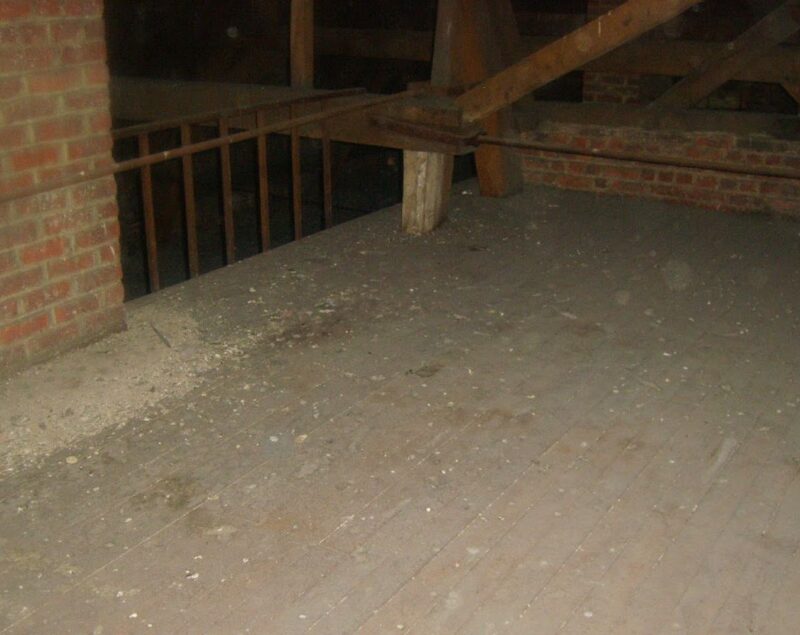 Nettoyage et desinsectisation de greniers a braine le comte 2