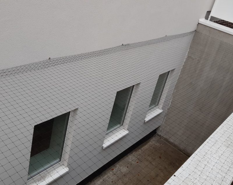 Chantier bird consult ottignies lln clinique pose filets anti pigeons 01