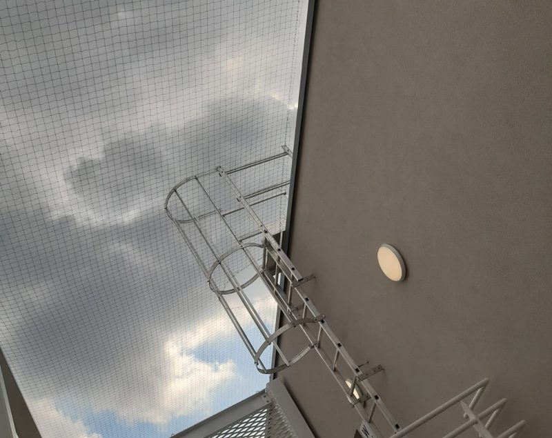 Chantier bird consult ottignies lln clinique pose filets anti pigeons 02
