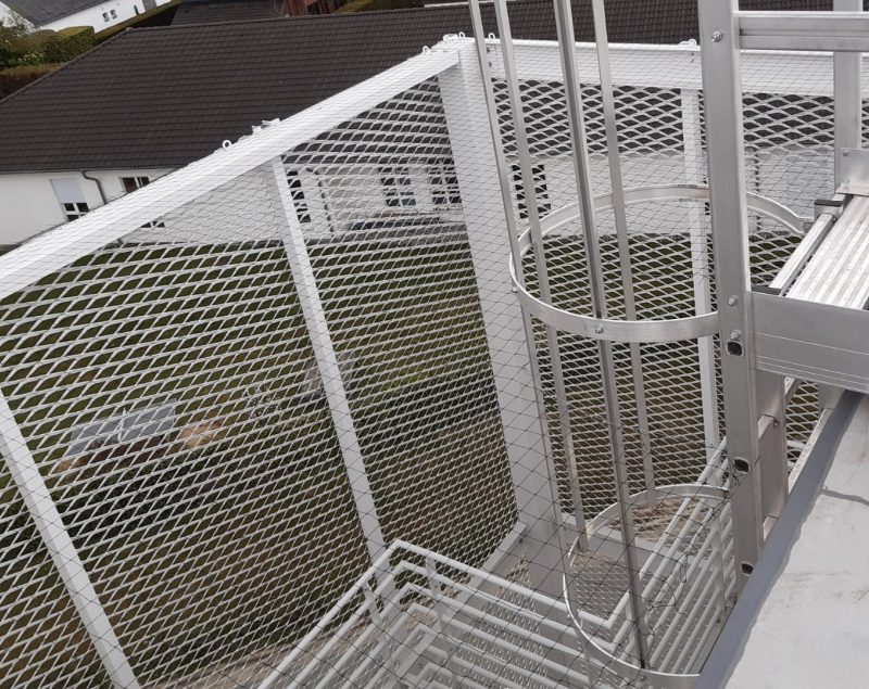Chantier bird consult ottignies lln clinique pose filets anti pigeons 04