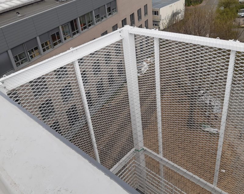 Chantier bird consult ottignies lln clinique pose filets anti pigeons 05