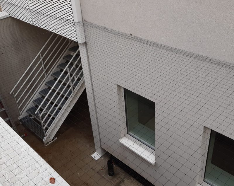 Chantier bird consult ottignies lln clinique pose filets anti pigeons 06