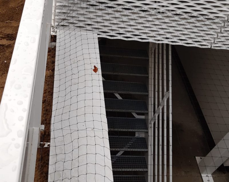 Chantier bird consult ottignies lln clinique pose filets anti pigeons 08