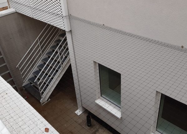 Chantier bird consult ottignies lln clinique pose filets anti pigeons 06